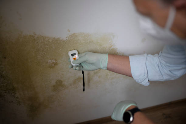 Best Mold Testing  in Bel Air North, MD