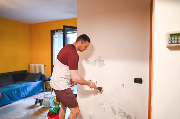 Best Commercial Mold Removal  in Bel Air North, MD
