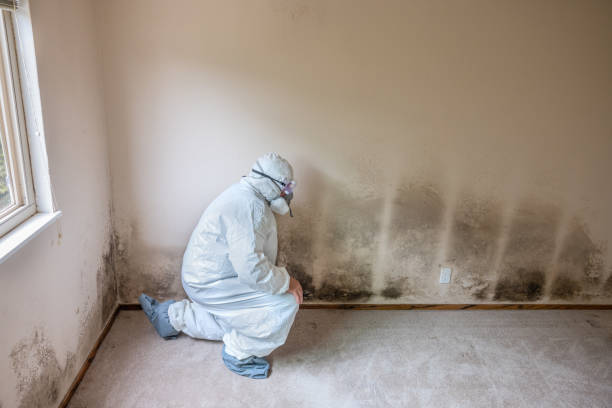Best Emergency Mold Removal  in Bel Air North, MD